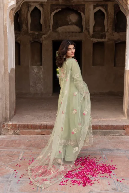 ZR-2553 | NOOR JAHAN – (SKU: – Pistachio – S – )