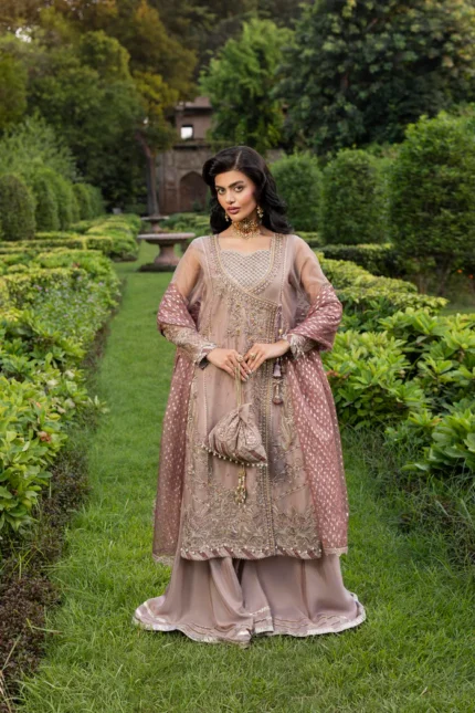 ZR-2555 | NAIN TARA – (SKU: – falsa – S – )